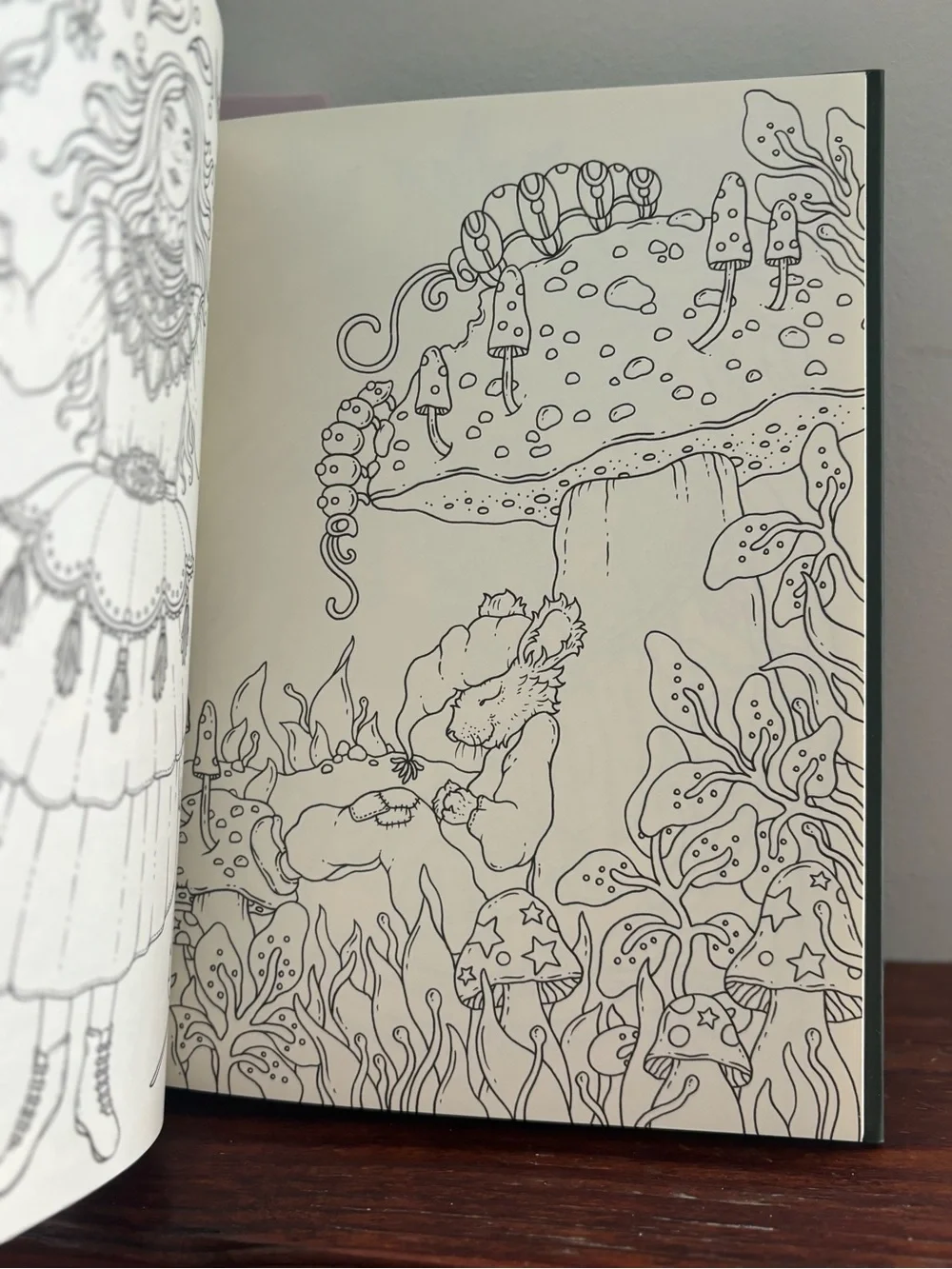 Hanna Karlzon Coloring Books — Magical Dawn and  tales from the forest Kingdom